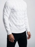 Men's Autumn Cable Knit Roll Neck Jumper