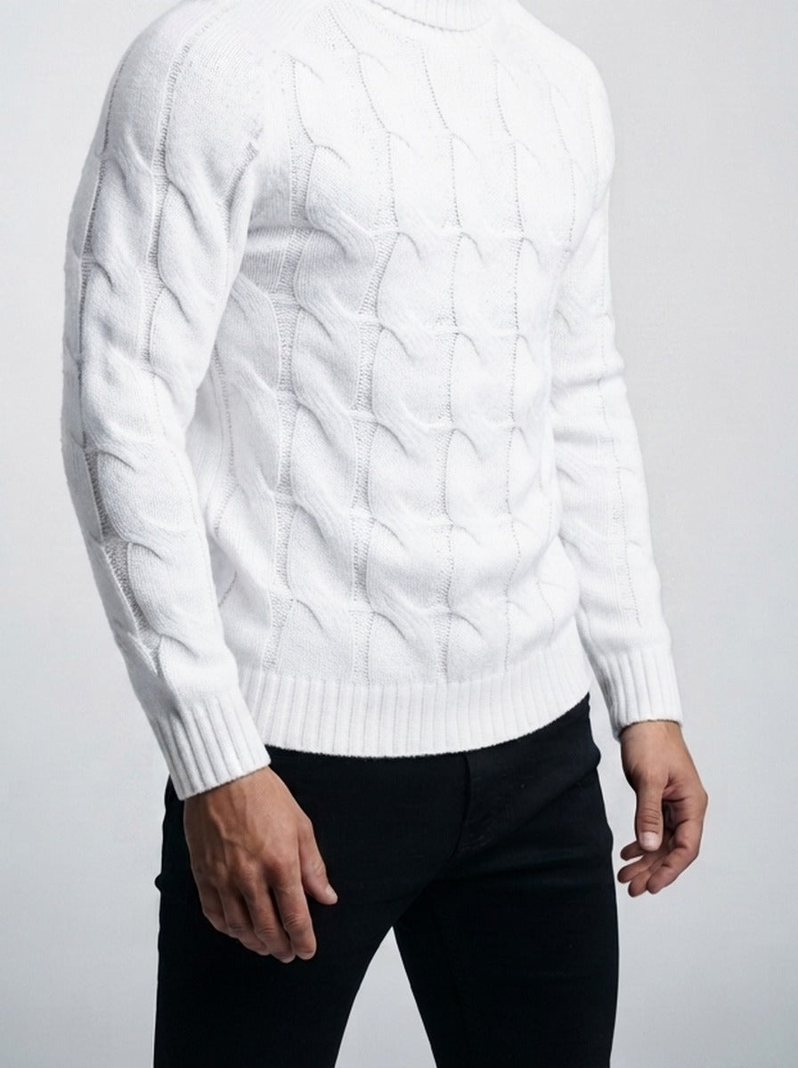 Men's Autumn Cable Knit Roll Neck Jumper