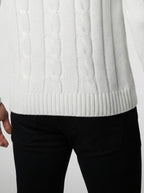 Men's Autumn Cable Knit Roll Neck Jumper